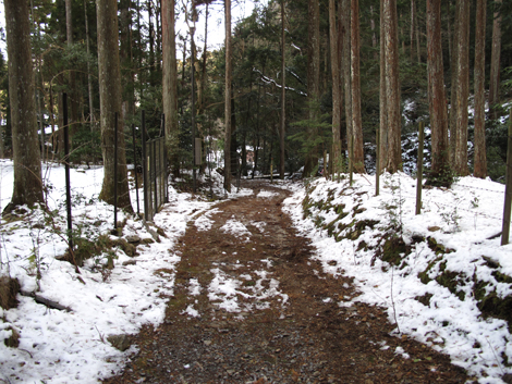20140211hike (300)